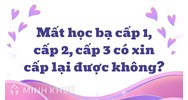 Mất học bạ cấp 1, cấp 2, cấp 3 có xin cấp lại được không?