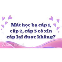 Mất học bạ cấp 1, cấp 2, cấp 3 có xin cấp lại được không?