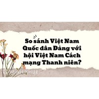 So sánh Việt Nam Quốc dân Đảng với hội Việt Nam Cách mạng Thanh niên?