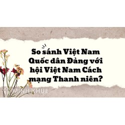 So sánh Việt Nam Quốc dân Đảng với hội Việt Nam Cách mạng Thanh niên?