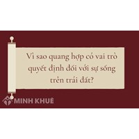 Vì sao quang hợp có vai trò quyết định đối với sự sống trên trái đất?
