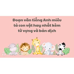 Đoạn văn tiếng Anh miêu tả con vật hay nhất kèm từ vựng và bản dịch