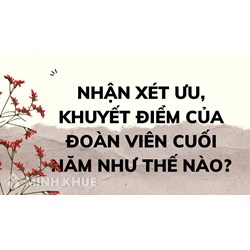 Nhận xét ưu, khuyết điểm của đoàn viên cuối năm như thế nào?