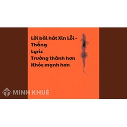 Lời bài hát Xin Lỗi - Thắng Lyric Trưởng thành hơn Khỏe mạnh hơn
