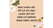 Bạo loạn lật đổ là gì? Bạo loạn lật đổ gồm có những hình thức nào?