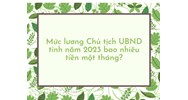 Mức lương Chủ tịch UBND tỉnh bao nhiêu tiền một tháng?