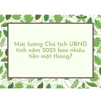 Mức lương Chủ tịch UBND tỉnh bao nhiêu tiền một tháng?