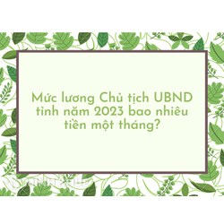 Mức lương Chủ tịch UBND tỉnh bao nhiêu tiền một tháng?