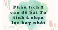 Phân tích 2 câu đề bài Tự tình 2 chọn lọc hay nhất