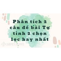 Phân tích 2 câu đề bài Tự tình 2 chọn lọc hay nhất