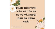 Phân tích tình mẫu tử của bà cụ Tứ và người đàn bà hàng chài siêu hay