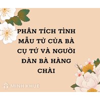 Phân tích tình mẫu tử của bà cụ Tứ và người đàn bà hàng chài siêu hay