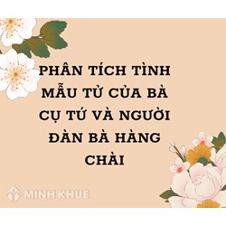 Phân tích tình mẫu tử của bà cụ Tứ và người đàn bà hàng chài siêu hay