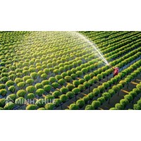 Bảng giá đền bù đất nông nghiệp 63 tỉnh, thành phố mới nhất