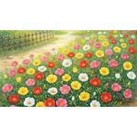 Tả cây hoa mười giờ hay nhất kèm dàn ý Tập làm văn lớp 4