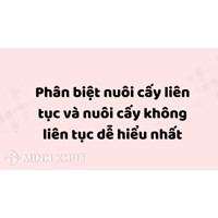 Phân biệt nuôi cấy liên tục và nuôi cấy không liên tục dễ hiểu nhất
