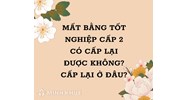 Mất bằng tốt nghiệp cấp 2 có cấp lại được không? Cấp lại ở đâu?