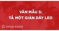 Tả một giàn cây leo chọn lọc hay nhất Tập làm văn lớp 5