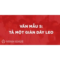 Tả một giàn cây leo chọn lọc hay nhất Tập làm văn lớp 5