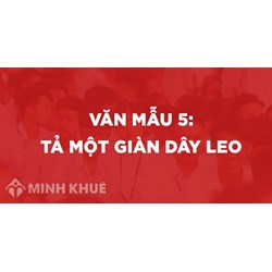 Tả một giàn cây leo chọn lọc hay nhất Tập làm văn lớp 5