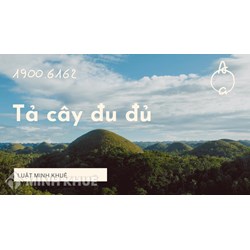 Tả cây đu đủ nhà em chọn lọc hay nhất Tập làm văn lớp 4