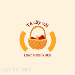 Tả cây vải siêu hay kèm dàn ý chi tiết Tập làm văn lớp 5