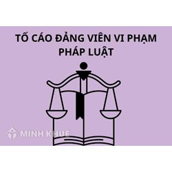 Tố cáo đảng viên vi phạm pháp luật thực hiện như thế nào?