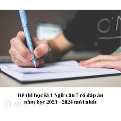 Đề thi học kì 1 Ngữ văn lớp 7 có đáp án chi tiết