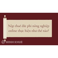 Nộp thuế đất phi nông nghiệp online thực hiện như thế nào?