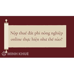 Nộp thuế đất phi nông nghiệp online thực hiện như thế nào?