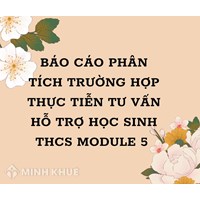Báo cáo phân tích trường hợp thực tiễn tư vấn hỗ trợ học sinh THCS module 5