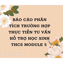 Báo cáo phân tích trường hợp thực tiễn tư vấn hỗ trợ học sinh THCS module 5