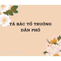 Tả bác tổ trưởng dân phố kèm dàn ý Tập làm văn lớp 5 hay nhất