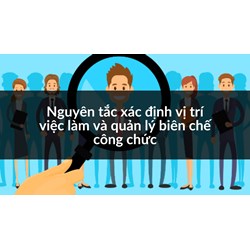 Nguyên tắc xác định vị trí việc làm và quản lý biên chế công chức