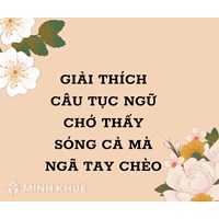 Giải thích câu tục ngữ Chớ thấy sóng cả mà ngã tay chèo hay nhất