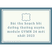 Bài thu hoạch bồi dưỡng thường xuyên module GVMN 24 mới nhất