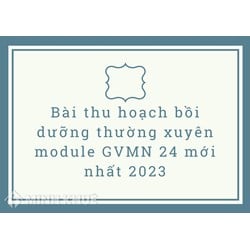 Bài thu hoạch bồi dưỡng thường xuyên module GVMN 24 mới nhất