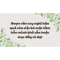 Đoạn văn suy nghĩ hậu quả của việc bỏ mặc tâm hồn mình khô cằn hoặc mọc đầy cỏ dại