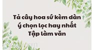 Tả cây hoa sứ kèm dàn ý chọn lọc hay nhất Tập làm văn lớp 4