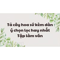 Tả cây hoa sứ kèm dàn ý chọn lọc hay nhất Tập làm văn lớp 4