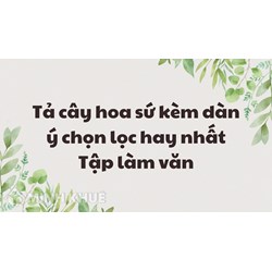 Tả cây hoa sứ kèm dàn ý chọn lọc hay nhất Tập làm văn lớp 4