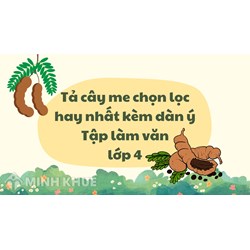Tả cây me chọn lọc hay nhất kèm dàn ý Tập làm văn lớp 4