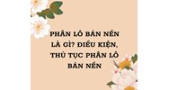 Phân lô bán nền là gì? Điều kiện, thủ tục phân lô bán nền