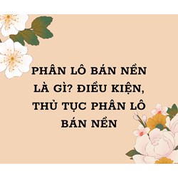 Phân lô bán nền là gì? Điều kiện, thủ tục phân lô bán nền