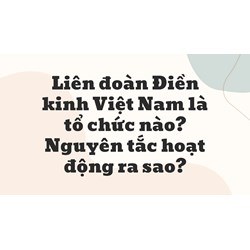 Liên đoàn Điền kinh Việt Nam là tổ chức nào? Nguyên tắc hoạt động ra sao?