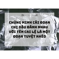 Chứng minh Cái đoạn chị Dậu đánh nhau với tên cai lệ là một đoạn tuyệt khéo