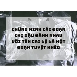Chứng minh Cái đoạn chị Dậu đánh nhau với tên cai lệ là một đoạn tuyệt khéo