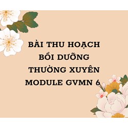 Bài thu hoạch bồi dưỡng thường xuyên module GVMN 6 mới nhất