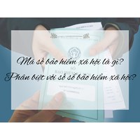Mã số bảo hiểm xã hội là gì? Phân biệt với số sổ bảo hiểm xã hội?