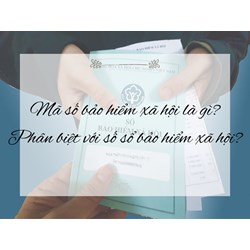 Mã số bảo hiểm xã hội là gì? Phân biệt với số sổ bảo hiểm xã hội?